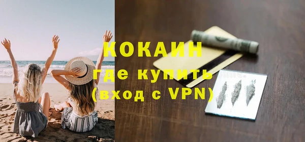 молекула духа Богданович