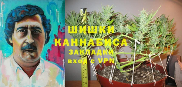 молекула духа Богданович