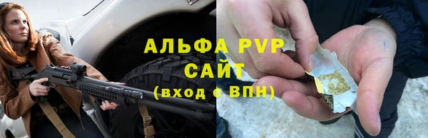 молекула духа Богданович