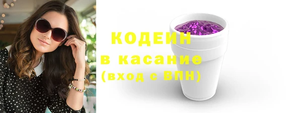 молекула духа Богданович