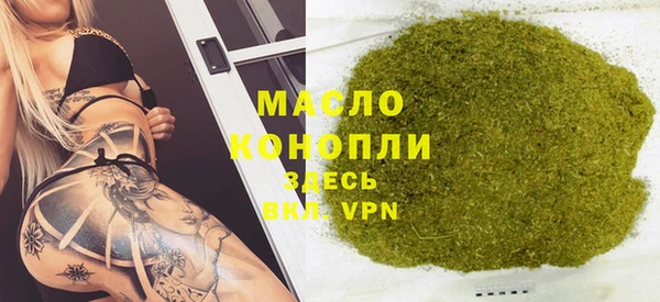 молекула духа Богданович