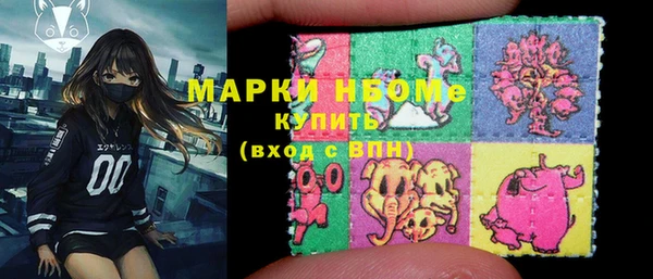 молекула духа Богданович