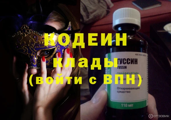 молекула духа Богданович