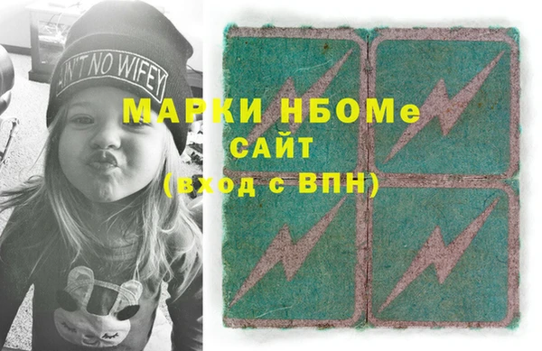 молекула духа Богданович