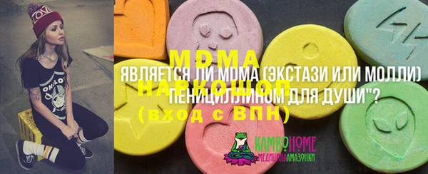 молекула духа Богданович
